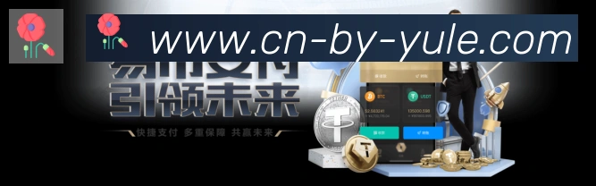 体育直播服务